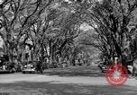 Standbild schönen Wohnviertel und Parks Washington DC USA, 1935, aus Sekunde 3 historischem Filmmaterial Videoclip 65675072202