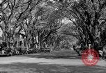 Standbild schönen Wohnviertel und Parks Washington DC USA, 1935, aus Sekunde 5 historischem Filmmaterial Videoclip 65675072202