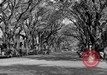 Standbild schönen Wohnviertel und Parks Washington DC USA, 1935, aus Sekunde 6 historischem Filmmaterial Videoclip 65675072202