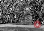 Standbild schönen Wohnviertel und Parks Washington DC USA, 1935, aus Sekunde 7 historischem Filmmaterial Videoclip 65675072202