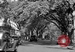 Standbild schönen Wohnviertel und Parks Washington DC USA, 1935, aus Sekunde 18 historischem Filmmaterial Videoclip 65675072202