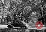 Standbild schönen Wohnviertel und Parks Washington DC USA, 1935, aus Sekunde 28 historischem Filmmaterial Videoclip 65675072202