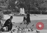 Standbild schönen Wohnviertel und Parks Washington DC USA, 1935, aus Sekunde 61 historischem Filmmaterial Videoclip 65675072202