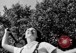 Image navetteurs roulant à Washington DC sur Rock Creek Parkway Washington DC USA, 1935, de la seconde 36 séquences d'archives historiques vidéo 65675072204
