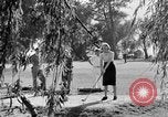 Image of Various views and activities in National Capital Area parks Washington DC USA, 1935, second 5 stock footage video 65675072206