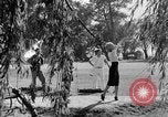 Image of Various views and activities in National Capital Area parks Washington DC USA, 1935, second 8 stock footage video 65675072206