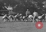Image of Various views and activities in National Capital Area parks Washington DC USA, 1935, second 58 stock footage video 65675072206