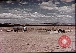 Standbild Evaluierung der Operation Cue nukleare Sprengwirkung Nevada United States USA, 1955, aus Sekunde 27 historischem Filmmaterial Videoclip 65675072224