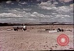 Standbild Evaluierung der Operation Cue nukleare Sprengwirkung Nevada United States USA, 1955, aus Sekunde 32 historischem Filmmaterial Videoclip 65675072224