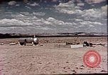 Standbild Evaluierung der Operation Cue nukleare Sprengwirkung Nevada United States USA, 1955, aus Sekunde 35 historischem Filmmaterial Videoclip 65675072224