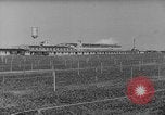 Image of pea crop New Jersey United States USA, 1946, second 1 stock footage video 65675072231