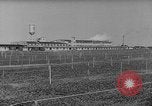 Image of pea crop New Jersey United States USA, 1946, second 3 stock footage video 65675072231