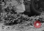 Image of pea crop New Jersey United States USA, 1946, second 13 stock footage video 65675072231