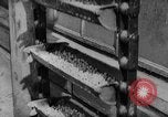 Image of pea crop New Jersey United States USA, 1946, second 19 stock footage video 65675072231