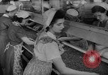 Image of pea crop New Jersey United States USA, 1946, second 25 stock footage video 65675072231