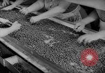 Image of pea crop New Jersey United States USA, 1946, second 26 stock footage video 65675072231