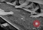 Image of pea crop New Jersey United States USA, 1946, second 27 stock footage video 65675072231