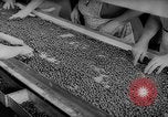 Image of pea crop New Jersey United States USA, 1946, second 28 stock footage video 65675072231