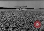 Image of pea crop New Jersey United States USA, 1946, second 40 stock footage video 65675072231