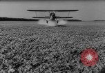 Image of pea crop New Jersey United States USA, 1946, second 41 stock footage video 65675072231
