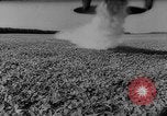 Image of pea crop New Jersey United States USA, 1946, second 42 stock footage video 65675072231