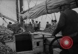 Standbild oyster Fischerei New Jersey United States USA, 1946, aus Sekunde 13 historischem Filmmaterial Videoclip 65675072232