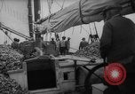 Standbild oyster Fischerei New Jersey United States USA, 1946, aus Sekunde 14 historischem Filmmaterial Videoclip 65675072232