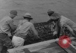 Standbild oyster Fischerei New Jersey United States USA, 1946, aus Sekunde 17 historischem Filmmaterial Videoclip 65675072232