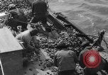 Standbild oyster Fischerei New Jersey United States USA, 1946, aus Sekunde 19 historischem Filmmaterial Videoclip 65675072232