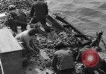 Standbild oyster Fischerei New Jersey United States USA, 1946, aus Sekunde 20 historischem Filmmaterial Videoclip 65675072232