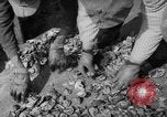 Standbild oyster Fischerei New Jersey United States USA, 1946, aus Sekunde 21 historischem Filmmaterial Videoclip 65675072232
