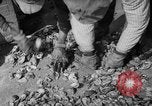 Standbild oyster Fischerei New Jersey United States USA, 1946, aus Sekunde 22 historischem Filmmaterial Videoclip 65675072232