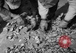 Standbild oyster Fischerei New Jersey United States USA, 1946, aus Sekunde 23 historischem Filmmaterial Videoclip 65675072232