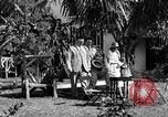Image of Anton Joseph Cermak Miami Florida USA, 1933, second 6 stock footage video 65675072237