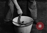 Image of fisherman Bermuda Island, 1933, second 40 stock footage video 65675072240