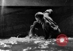 Image of fisherman Bermuda Island, 1933, second 51 stock footage video 65675072240