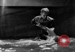 Image of fisherman Bermuda Island, 1933, second 52 stock footage video 65675072240