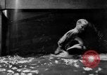 Image of fisherman Bermuda Island, 1933, second 55 stock footage video 65675072240