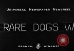 Image of Pacific Coast Kennel Club show Oakland California USA, 1933, second 9 stock footage video 65675072242