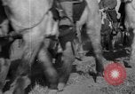 Immagine di Le truppe cinesi Shanhaikwan Cina, 1933, secondo 40 filmato di repertorio 65675072243