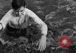 Standbild jährliche Cross Country Rennen Eton England, 1933, aus Sekunde 61 historischem Filmmaterial Videoclip 65675072246