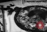 Image of culinary artists Toronto Ontario Canada, 1960, second 35 stock footage video 65675072256