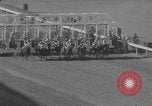 Image of Florida Derby Hallandale Beach Florida USA, 1960, second 17 stock footage video 65675072257