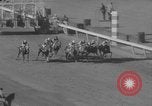 Image of Florida Derby Hallandale Beach Florida USA, 1960, second 19 stock footage video 65675072257