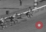 Image of Florida Derby Hallandale Beach Florida USA, 1960, second 36 stock footage video 65675072257