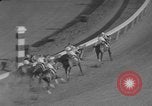Image of Florida Derby Hallandale Beach Florida USA, 1960, second 37 stock footage video 65675072257