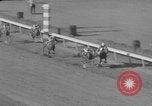 Image of Florida Derby Hallandale Beach Florida USA, 1960, second 58 stock footage video 65675072257