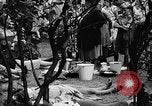Immagine di Eccedenze alimentari distribuiti per fame tedeschi dell'Est Germania, 1951, secondo 55 filmato di repertorio 65675072259
