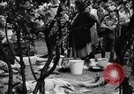 Immagine di Eccedenze alimentari distribuiti per fame tedeschi dell'Est Germania, 1951, secondo 57 filmato di repertorio 65675072259