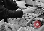 Image des oranges et des cerises Berlin Allemagne, 1951, de la seconde 23 séquences d'archives historiques vidéo 65675072260